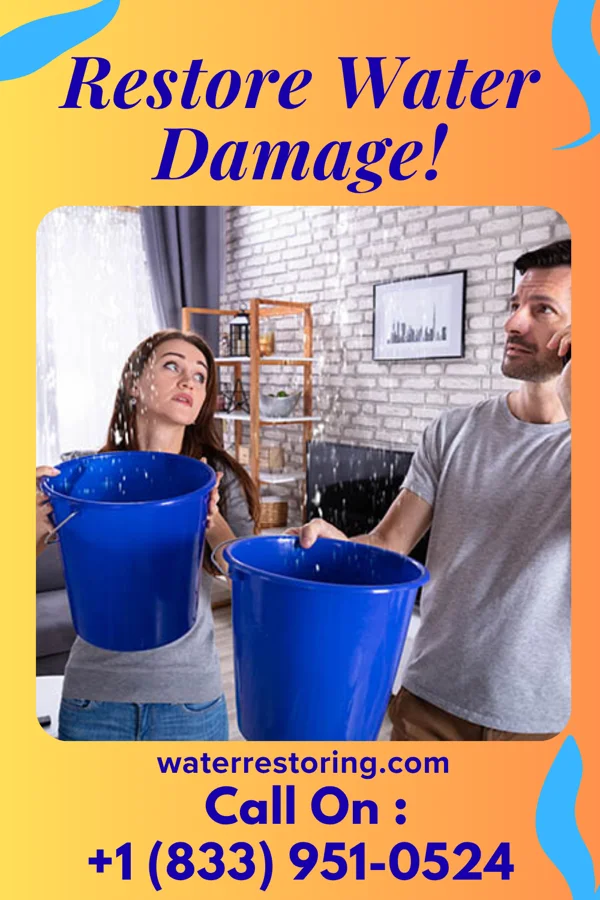 water restoration Premier Water Damage Brothers Pottsboro