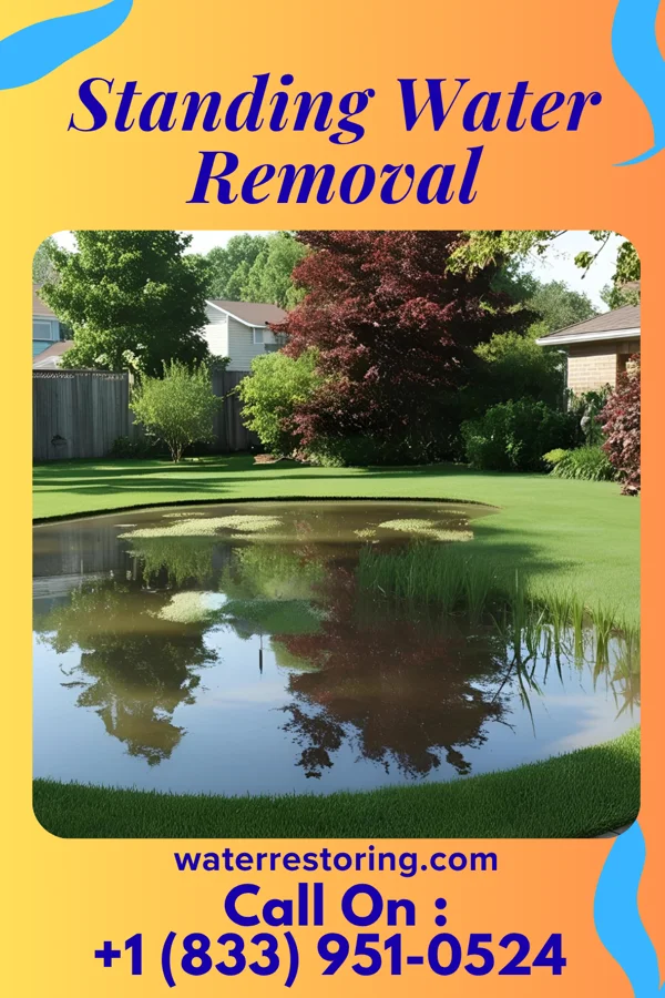 Standing Water Removal in Pottsboro, TX